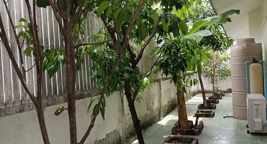 Аренда 3 спальни вилла в Mueang Chiang Mai, Чианг Маи