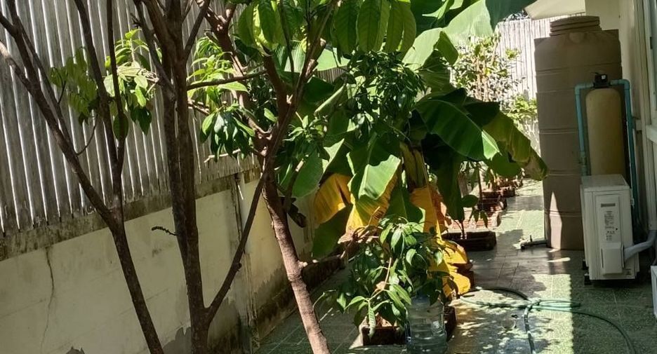 Аренда 3 спальни вилла в Mueang Chiang Mai, Чианг Маи