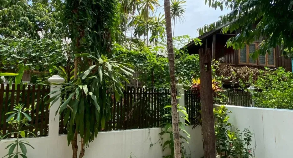 For rent 4 bedrooms house in Mueang Chiang Mai, Chiang Mai
