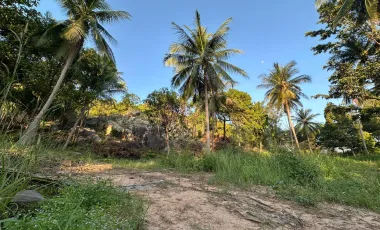 For sale land in Ko Pha-ngan, Surat Thani