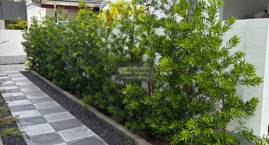 ขาย 3 ห้องนอน บ้านเดี่ยว ใน เมืองภูเก็ต, ภูเก็ต