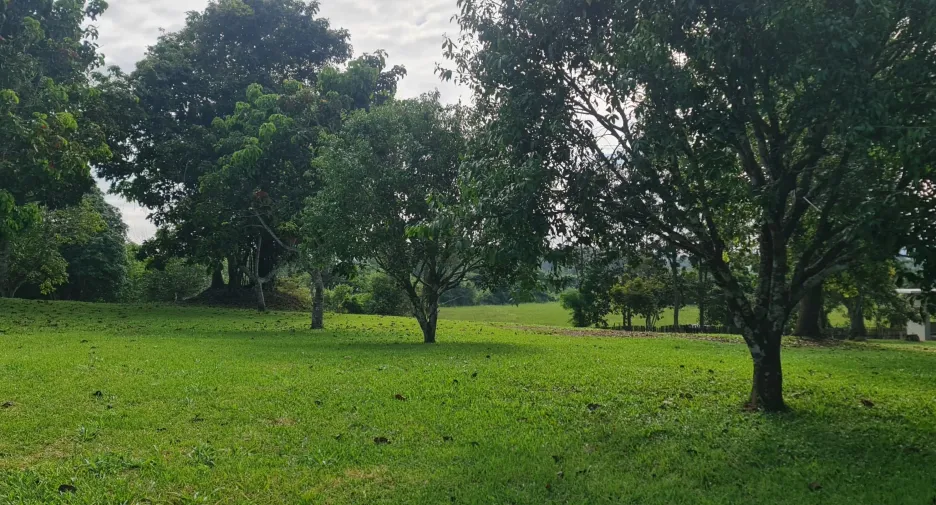 出售 4 卧室 别墅 在 Mueang Chiang Rai, Chiang Rai