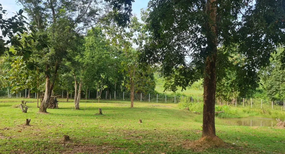 出售 4 卧室 别墅 在 Mueang Chiang Rai, Chiang Rai
