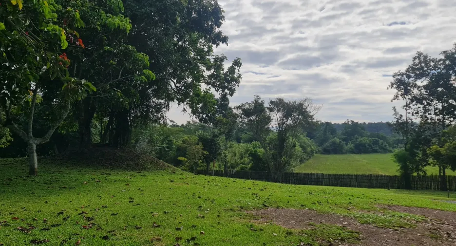 出售 4 卧室 别墅 在 Mueang Chiang Rai, Chiang Rai