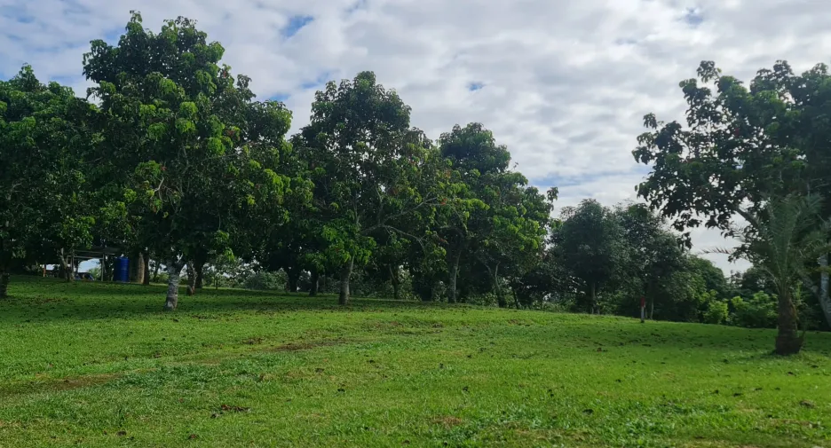 出售 4 卧室 别墅 在 Mueang Chiang Rai, Chiang Rai