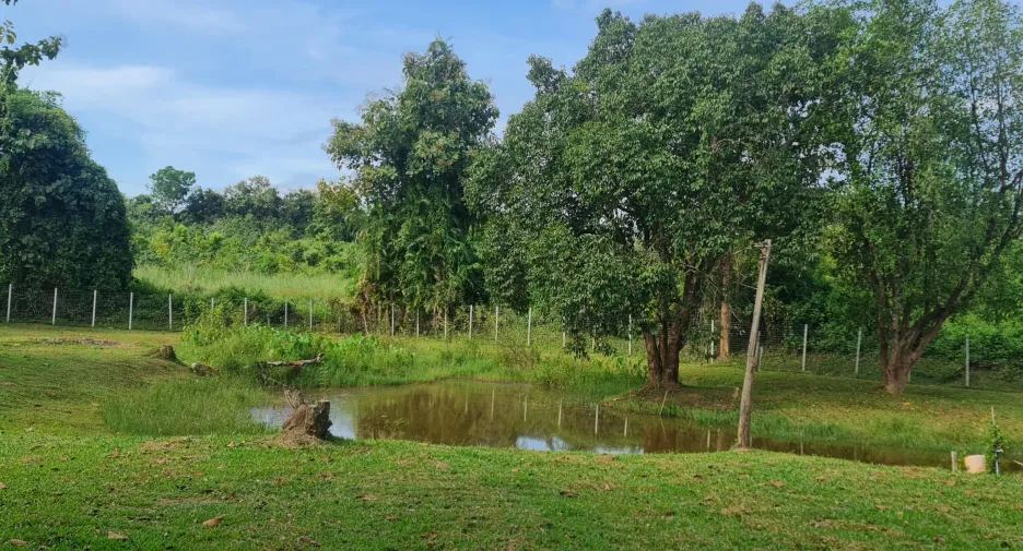 出售 4 卧室 别墅 在 Mueang Chiang Rai, Chiang Rai