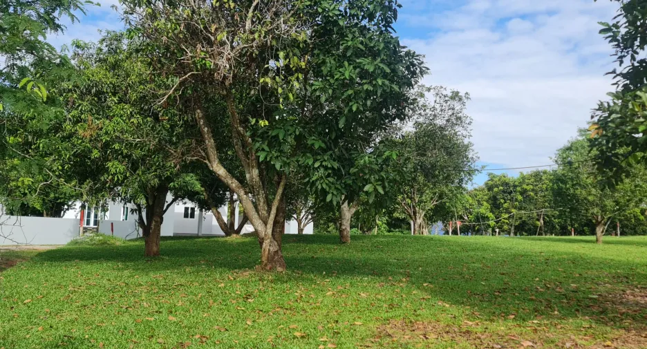 出售 4 卧室 别墅 在 Mueang Chiang Rai, Chiang Rai
