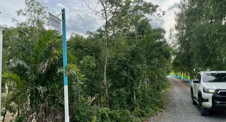 ขาย ที่ดิน ใน คลองหลวง, ปทุมธานี