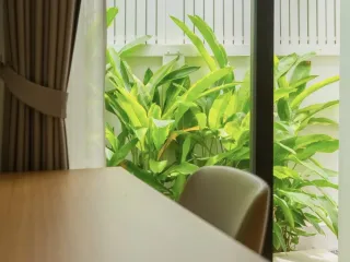 Villa en alquiler de 3 habitaciones en Thalang, Phuket