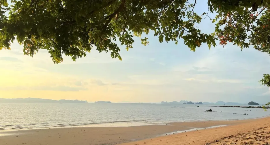 ขาย 2 ห้องนอน บ้านเดี่ยว ใน เมืองกระบี่, กระบี่