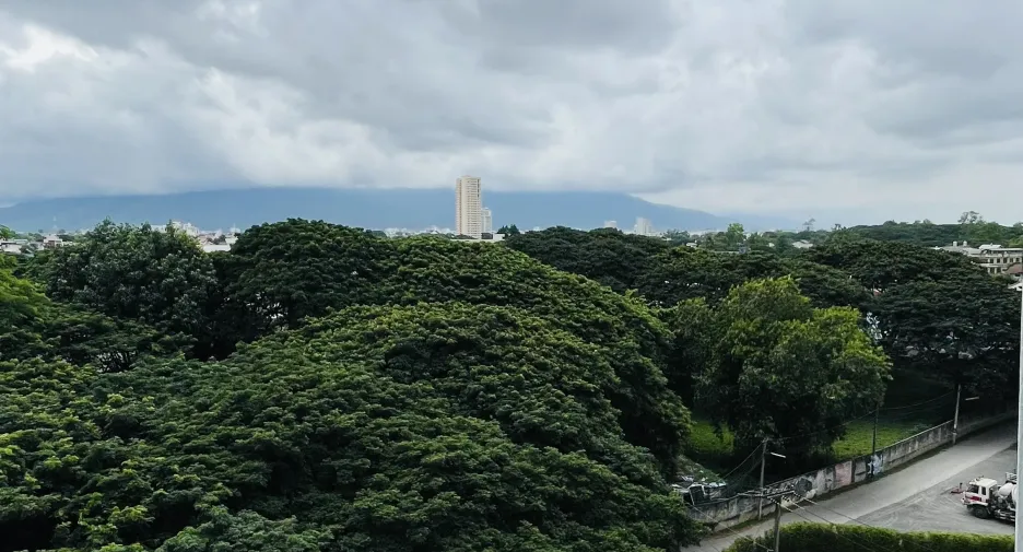 Продажа студия апартаменты в Mueang Chiang Mai, Чианг Маи