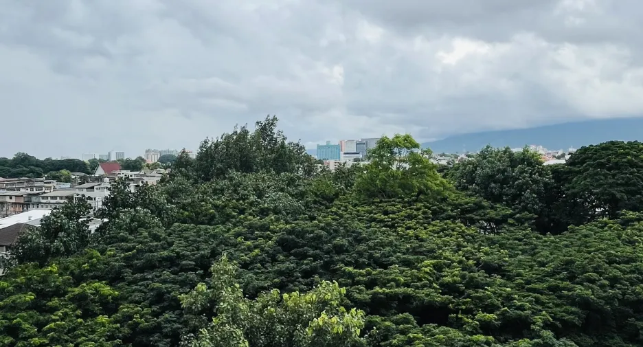 Продажа студия апартаменты в Mueang Chiang Mai, Чианг Маи