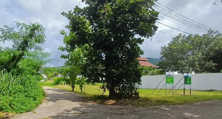 Terreno en venta en Mueang Chiang Mai, Chiang Mai