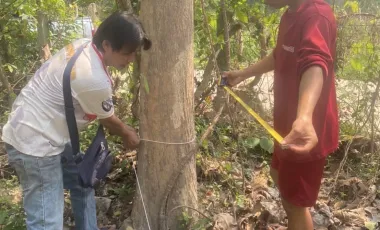 Terreno en venta en San Sai, Chiang Mai