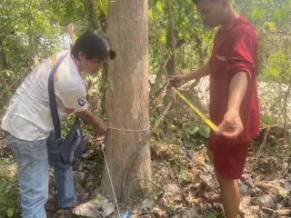 出售 土地 在 San Sai, Chiang Mai