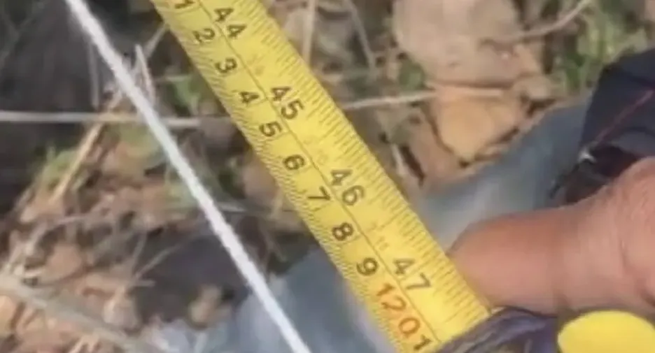 Terreno en venta en San Sai, Chiang Mai