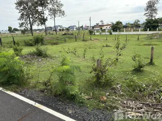Terreno en venta en Sirindhorn, Ubon Ratchathani