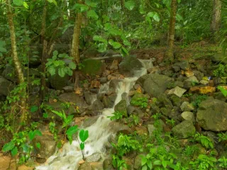Villa zum Kauf mit 6 Zimmer in Kathu, Phuket