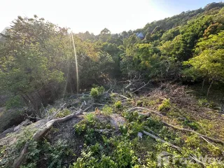Terreno en venta en Ko Pha-ngan, Surat Thani