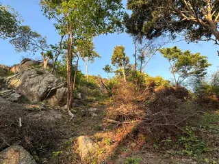 Terreno en venta en Ko Pha-ngan, Surat Thani