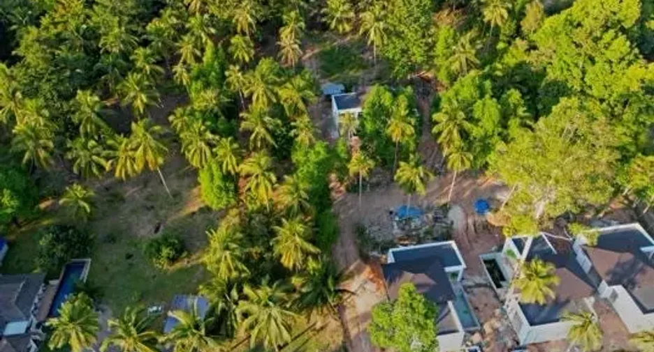 Terreno en venta en Ko Pha-ngan, Surat Thani