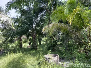 Grundstück zum Kauf in Nuea Khlong, Krabi