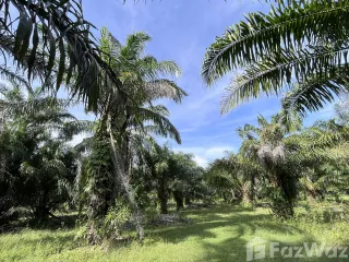Grundstück zum Kauf in Nuea Khlong, Krabi
