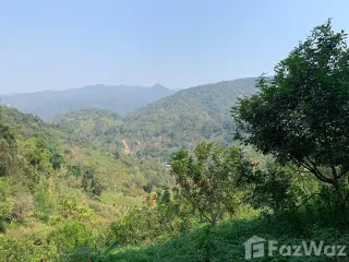 出售 土地 在 Mae Taeng, Chiang Mai