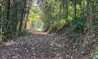 Terreno en venta en Mae Taeng, Chiang Mai