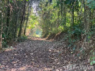 出售 土地 在 Mae Taeng, Chiang Mai