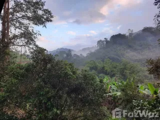 出售 土地 在 Mae Taeng, Chiang Mai