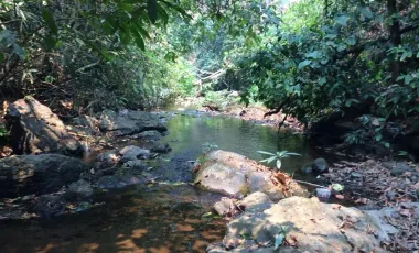 Terreno en venta en Mae Taeng, Chiang Mai