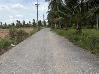 出售 土地 在 Si Racha, Chon Buri