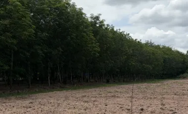 Продажа Участок в Si Racha, Чонбури