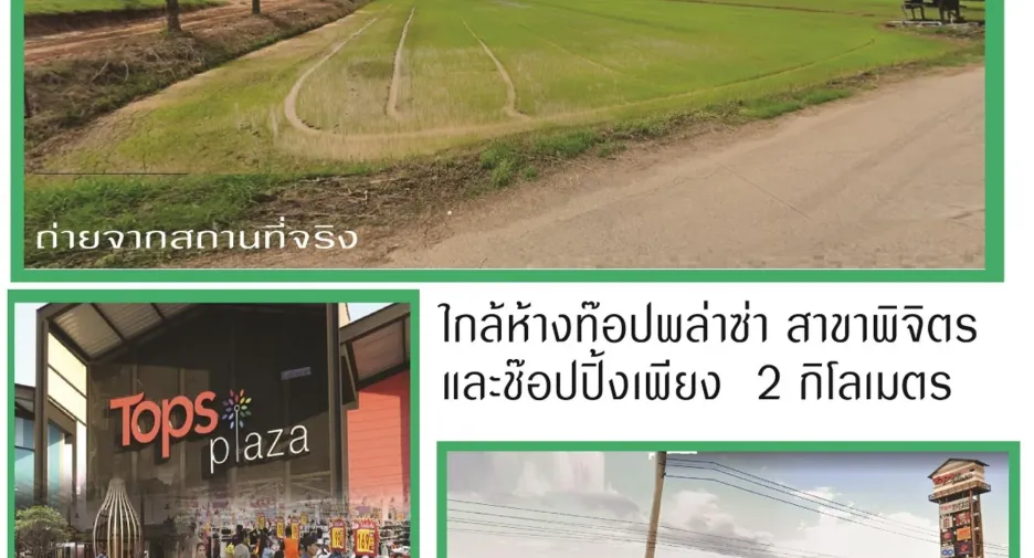 出售 土地 在 Mueang Phichit, Phichit