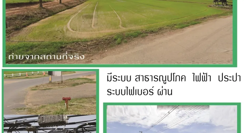出售 土地 在 Mueang Phichit, Phichit
