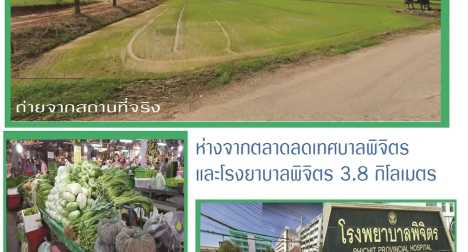 出售 土地 在 Mueang Phichit, Phichit