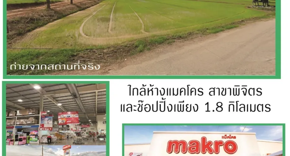 出售 土地 在 Mueang Phichit, Phichit
