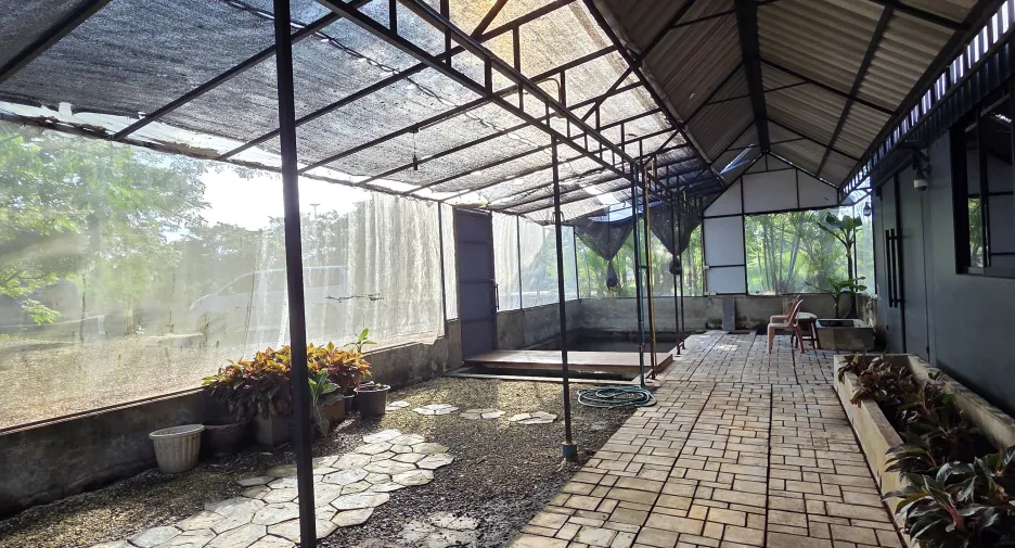 ขาย ที่ดิน ใน เมืองอุดรธานี, อุดรธานี