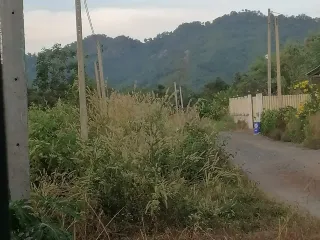 À vendre terrain à Mueang Nakhon Nayok, Nakhon Nayok