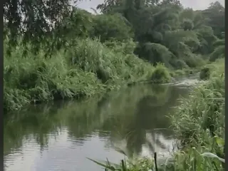Продажа Участок в Kaeng Khoi, Saraburi