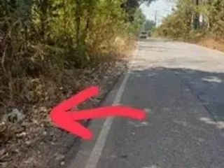 For sale land in Phang Khon, Sakon Nakhon