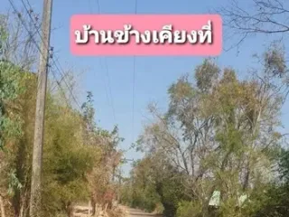 For sale land in Phang Khon, Sakon Nakhon