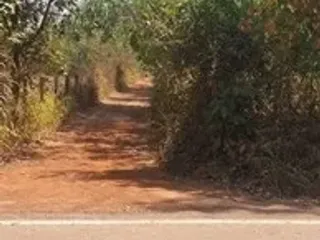 For sale land in Phang Khon, Sakon Nakhon