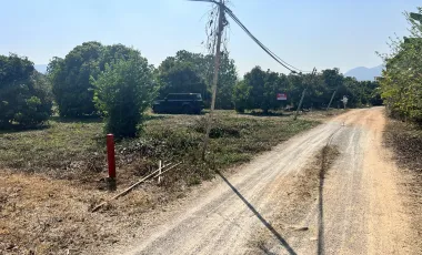 For sale land in Chom Thong, Chiang Mai