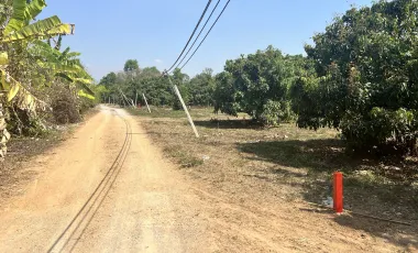 For sale land in Chom Thong, Chiang Mai