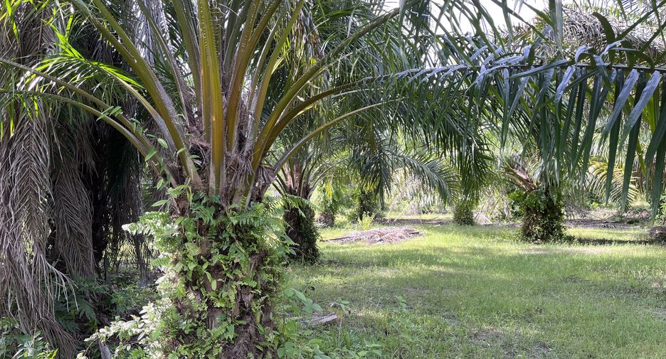 Terreno en venta en Nuea Khlong, Krabi