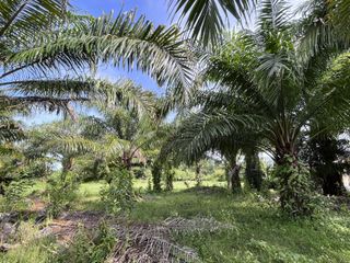 Terreno en venta en Nuea Khlong, Krabi
