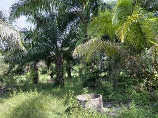 Terreno en venta en Nuea Khlong, Krabi