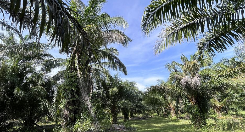Terreno en venta en Nuea Khlong, Krabi